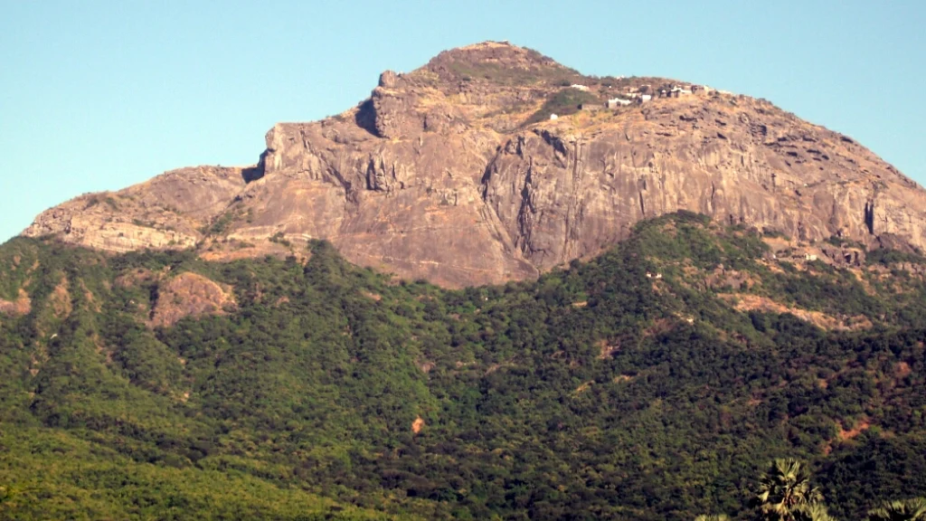 best resort near sasan gir,Gir Jungle Safari Resort,Resorts near Devalia Safari Park,resorts near somnath temple