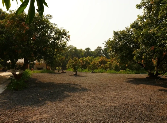 Viraaya Gir Resort,Booking resorts near gir forest