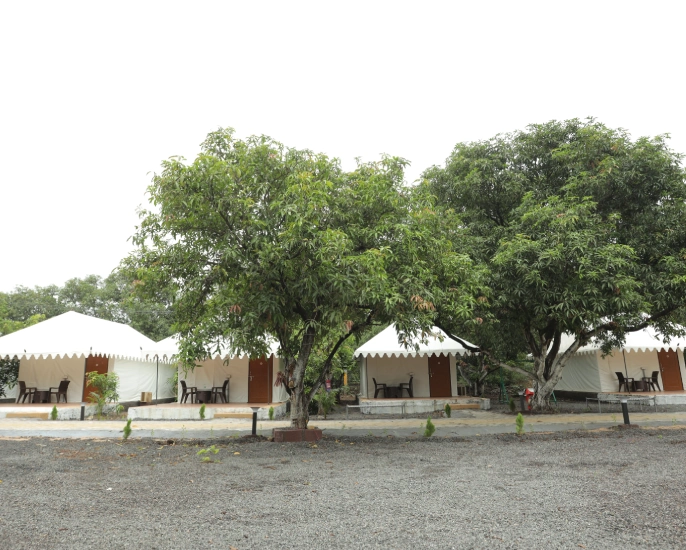 Viraaya Gir Resort, gir resort, Sasan Gir Hotels and Resorts