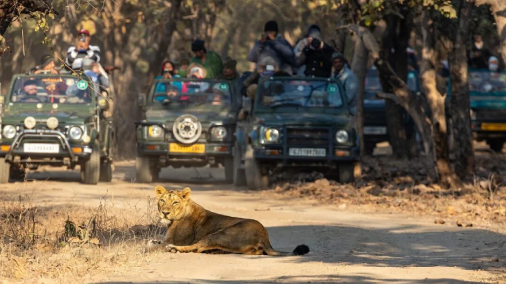 best resort near sasan gir,Gir Jungle Safari Resort,Resorts near Devalia Safari Park,resorts near somnath temple