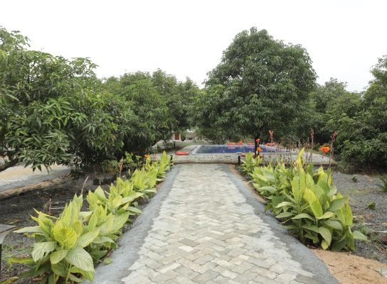 Viraaya Gir Resort,Booking resorts near gir forest