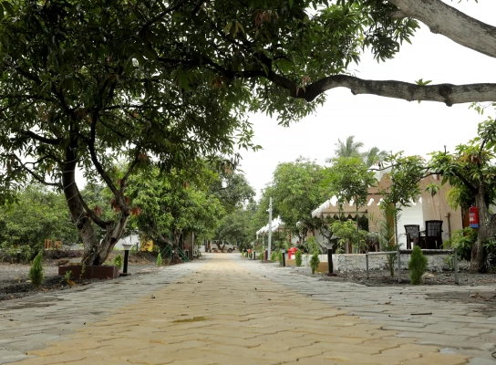 Viraaya Gir Resort,Booking resorts near gir forest