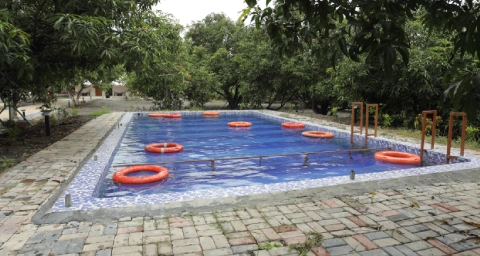 Viraaya Gir Resort, gir resort, Sasan Gir Hotels and Resorts